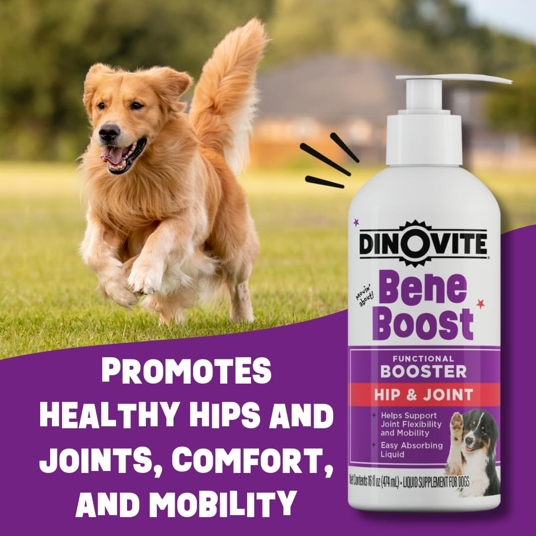 Dinovite BeneBoost – Cubrealimentos líquidos para caderas y articulaciones para perros, suplemento de glucosamina, decoración de comida de movilidad