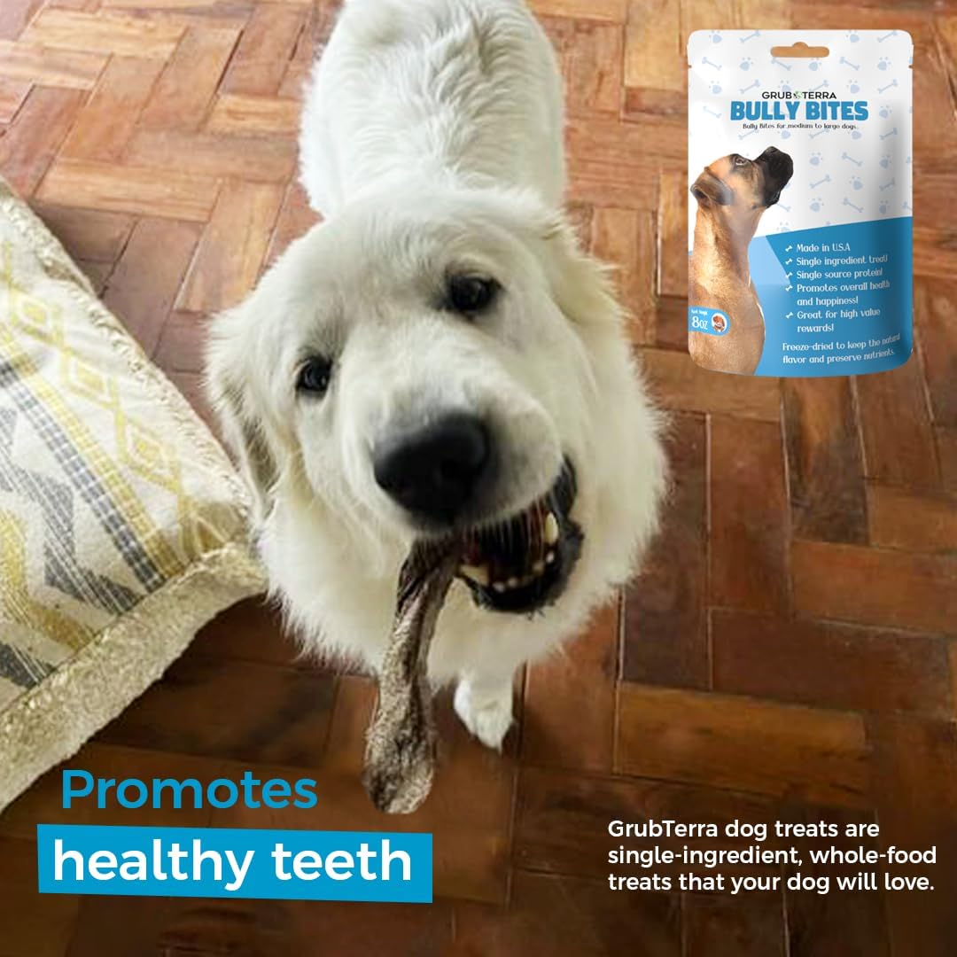GrubTerra Natural Beef Dog – Golosinas dentales para perros, hechas en Estados Unidos, bocadillos saludables para perros, sin granos, con alto