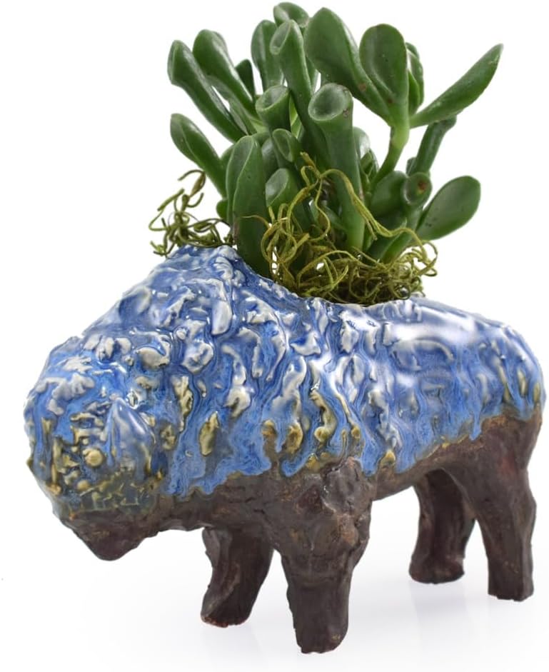 Maceta pequeña para suculentas de bisonte de cerámica, 4.75 pulgadas de alto, maceta rústica de cerámica (azul)