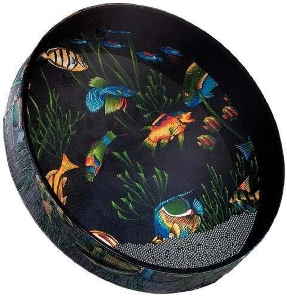Remo Tambor océano, cabezas de pescado 2.5 “x 16”