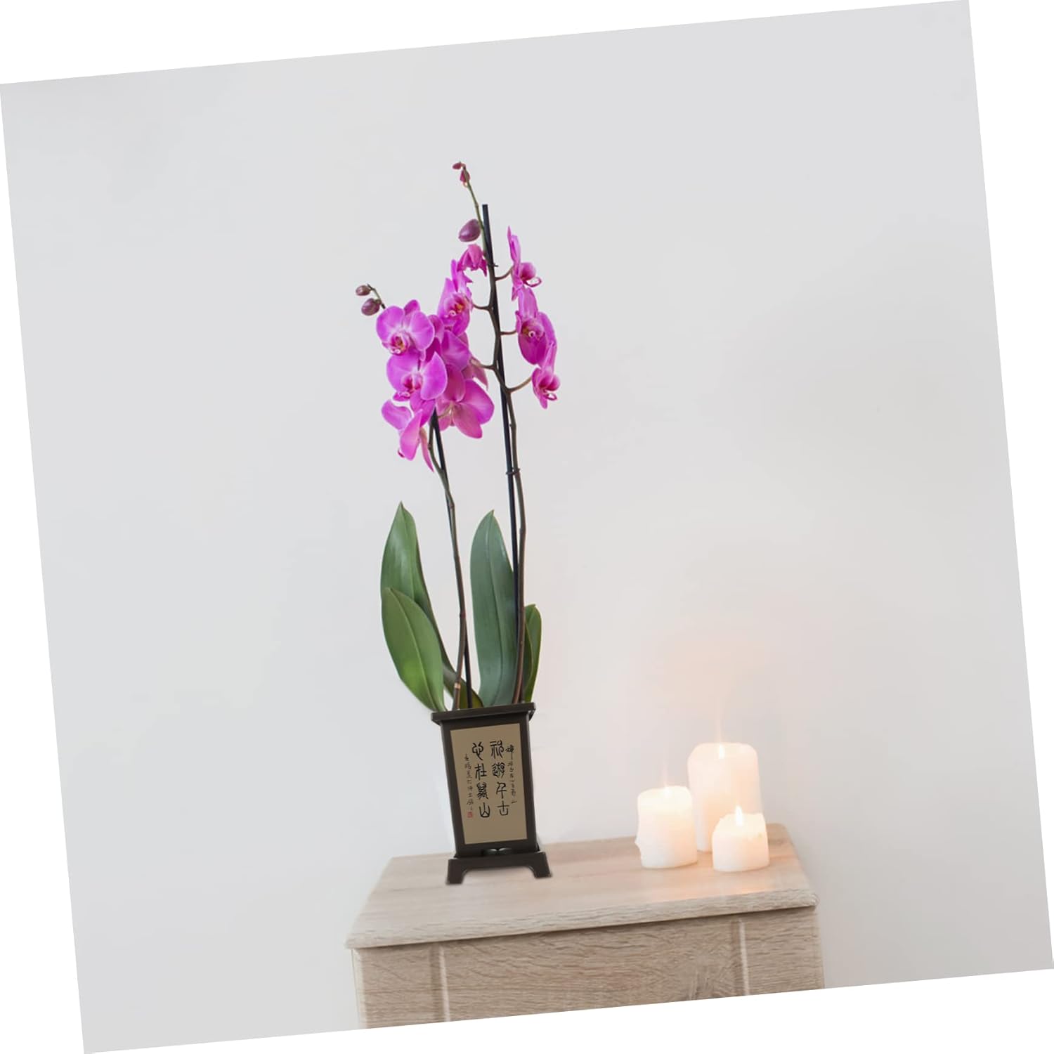Yardwe 3pcs clivia planta en maceta cactus maceta de riego automático maceta maceta profunda maceta alta maceta vivero maceta violeta africana