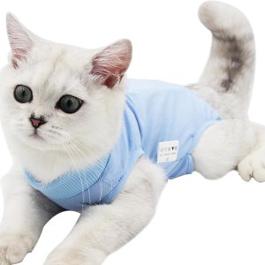 Traje de recuperación para gatos para heridas abdominales, enfermedades de la piel, mameluco de gato para gatos después de la cirugía, traje de Traje de recuperación para gatos para heridas abdominales, enfermedades de la piel, mameluco de gato para gatos después de la cirugía, traje de