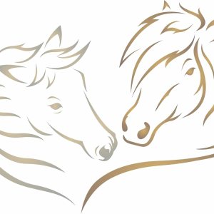 Plantilla de caballos de amor, 6.5 x 5 pulgadas (S)  Plantillas decorativas de cabeza de caballo equino de animales de granja para plantilla de Plantilla de caballos de amor, 6.5 x 5 pulgadas (S)  Plantillas decorativas de cabeza de caballo equino de animales de granja para plantilla de