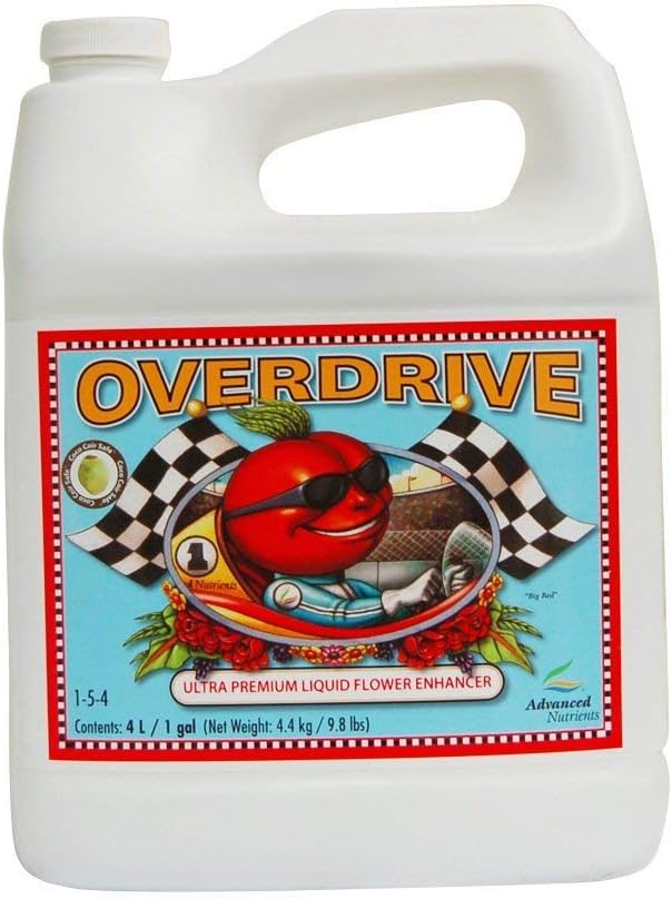 Overdrive 4 litros – NA0077XX