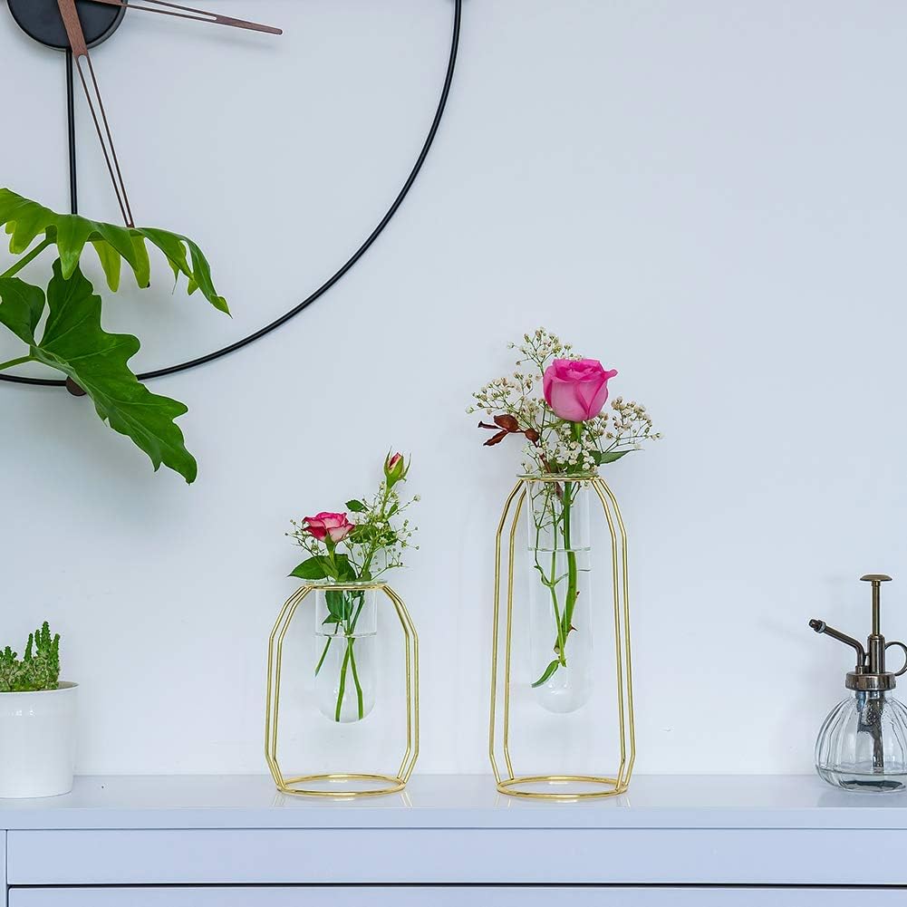 Nuptio – Juego de 2 jarrones de cristal con marco de metal, para plantas y flores, jarrón cilíndrico, para plantas de mesa, para oficina, sala de