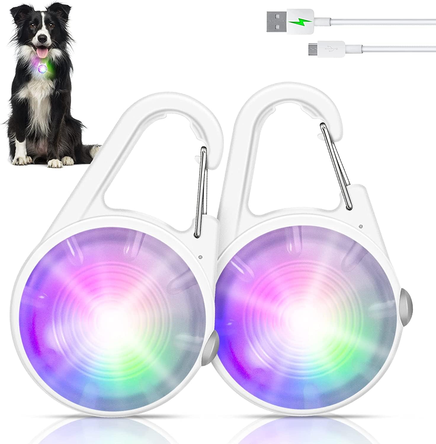 Luz para collar de perro, 4 modos de luces de perro para caminar por la noche, luz de perro que cambia de color RGB, luces recargables para collar