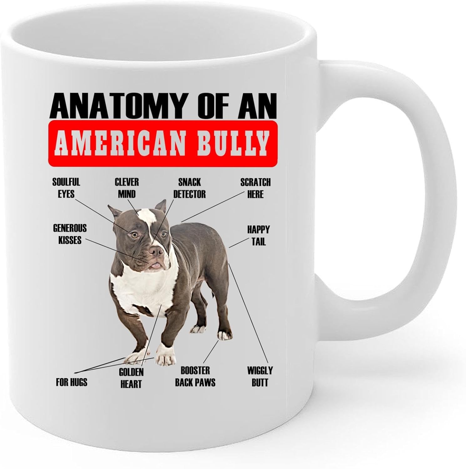 Lovesout Taza de café con diseño de anatomía de matón americano, color marrón divertido, taza de cerámica blanca de 11 onzas