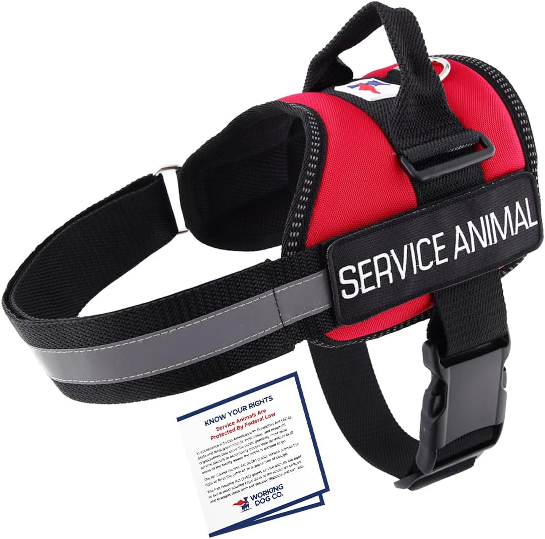Chaleco para perros de servicio y tarjeta de información ADA  Arnés para perro de servicio en tamaños XXS a L  Reflectante, acolchado, sin tirones,