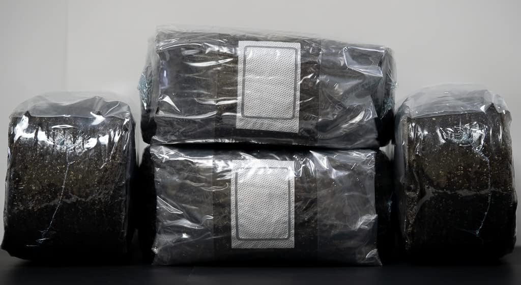 Paquete de 4 bolsas esterilizadas de compost de hongos de 10 libras, sustrato a granel