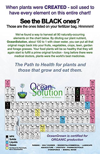Ocean Solution 2-0-3 – Alimento vegetal – Fertilizante orgánico líquido para jardines, paisajes, hidroponía (concentrado de fertilizante mineral