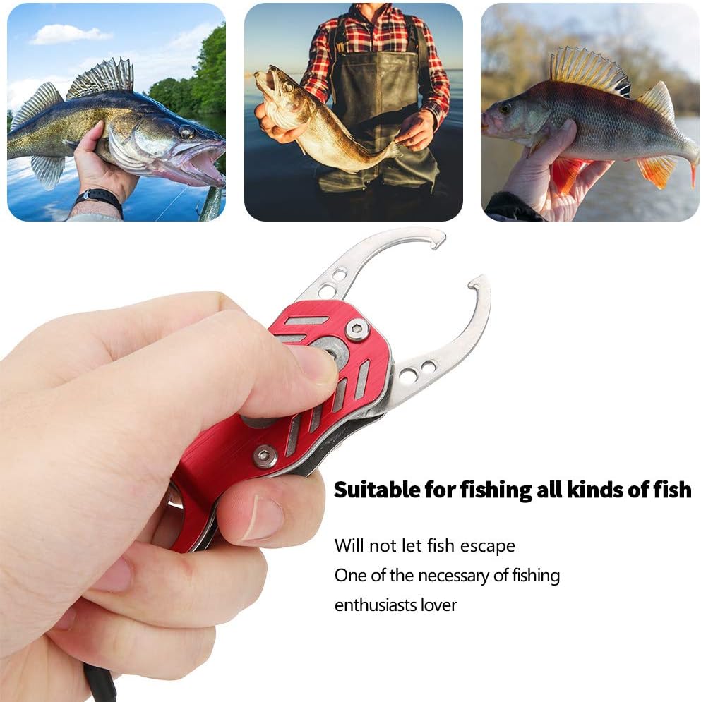 Mini abrazadera de agarre de pesca con cuerda antipérdida, diseño de aleación de aluminio ligero para un fácil control de peces y resistencia a la