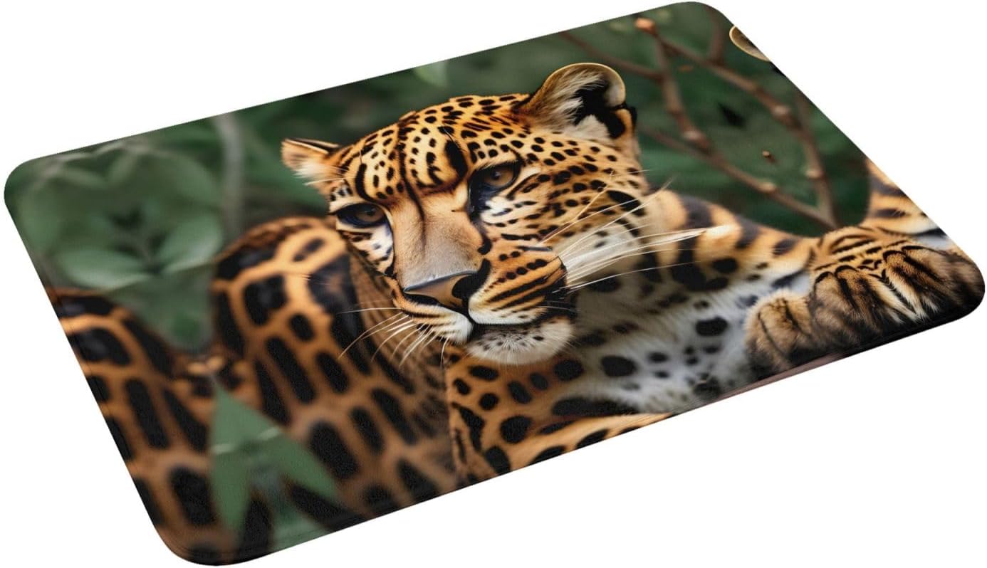 Tapete de puerta con patrón de leopardo, tapete de puerta exterior para el piso de entrada del hogar, fácil de limpiar, tapetes de patio, 16 x 24