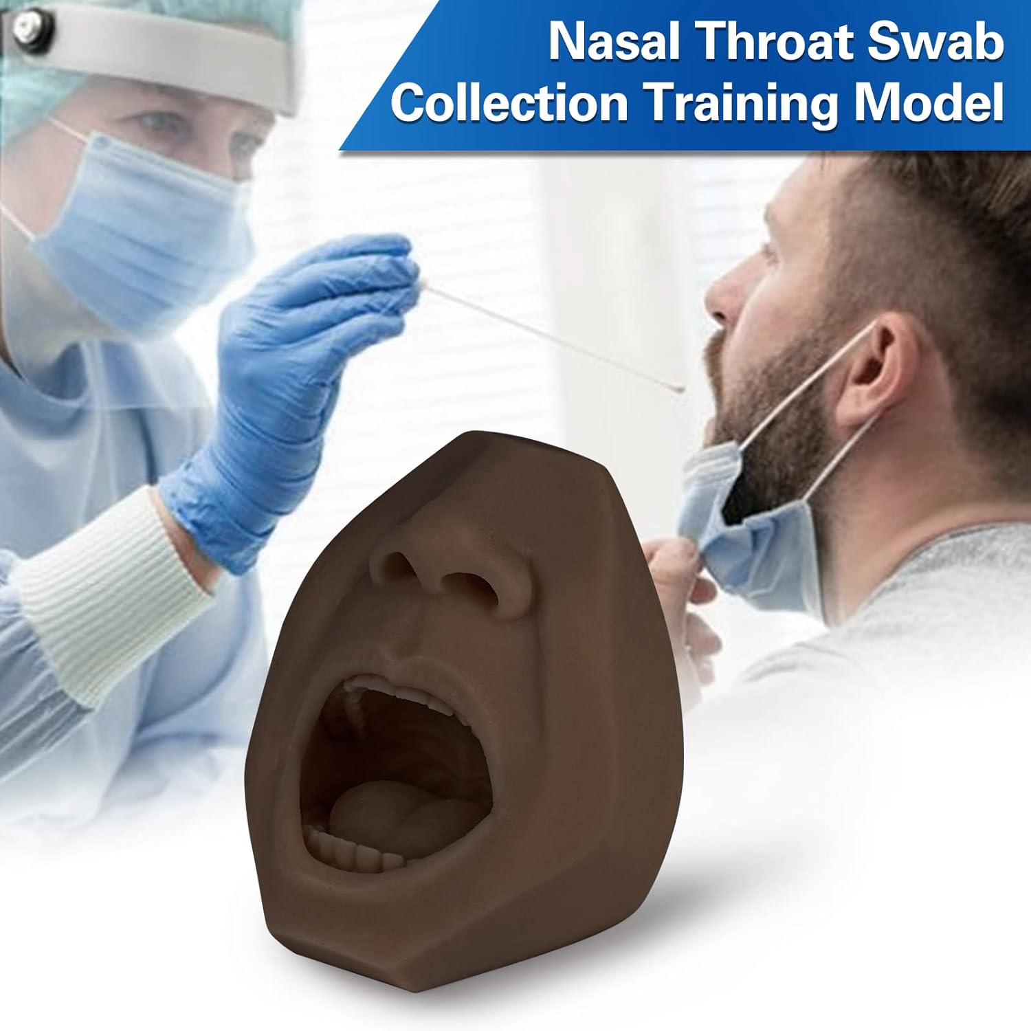 Hisopo nasal, modelo de entrenamiento de prueba de hisopos de garganta, simulador de colección de hisopos, hisopo oral de saliva, acupuntura, modelo