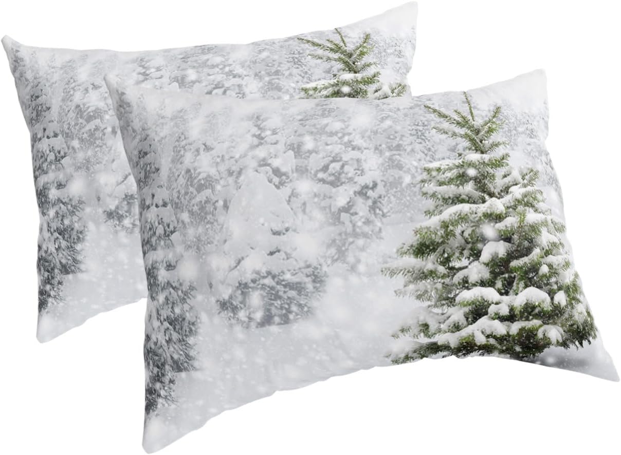 Fundas de almohada de invierno tamaño Queen, 2 paquetes de fundas de almohada suaves para cama, fundas de almohada para sofá, sofá de cuerpo largo,