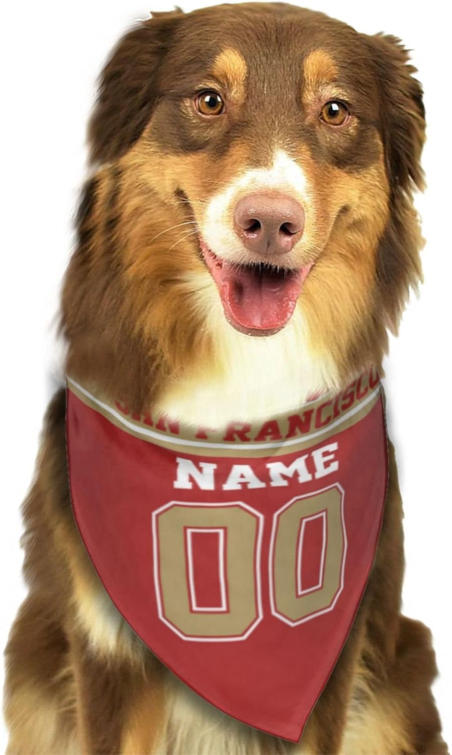 San Francisco – Bandana personalizada para perro, diseño personalizado con nombre, número de perro, bufanda de fútbol para perros, regalos para