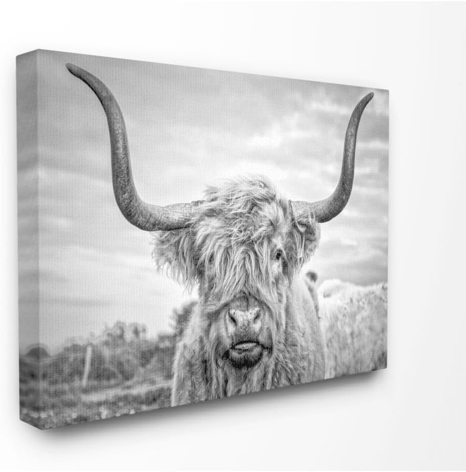 Stupell Industries Lienzo decorativo para pared, diseño de vaca de las tierras altas en blanco y negro por Joe Reynolds, 16 x 20 pulgadas