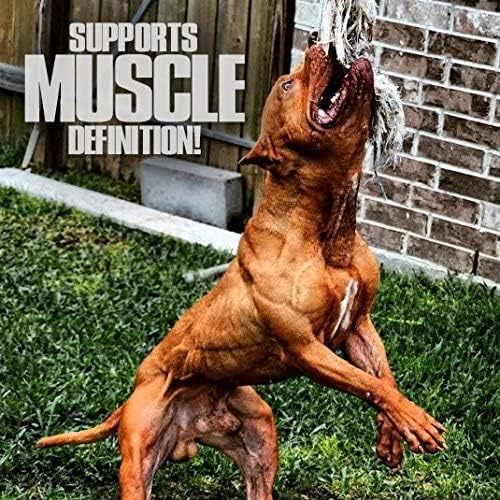 Muscle Builder para perros – Combina ingredientes de construcción muscular clínicamente probados. Apoya el crecimiento muscular, tamaño, definición