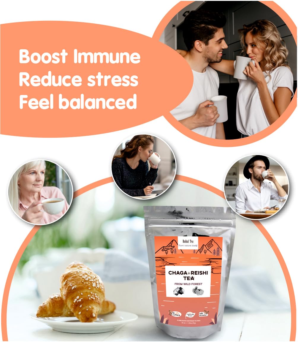 Baikal Tea Chaga Reishi Tea Wild Chaga Tea con Reishi – 30 bolsas de té sin blanquear – Suplemento de hongos Ganoderma Lingzhi con Chaga salvaje
