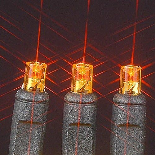 Novelty Lights Juego de 50 luces LED de Navidad, iluminación al aire libre, luces de patio, ámbar, cable negro, 11 pies