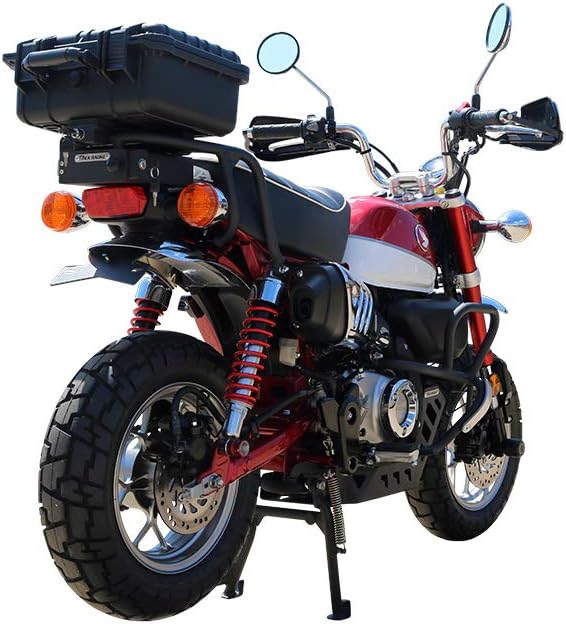 T-Rex Racing Eliminador de guardabarros para Honda 2019-2021 Monkey
