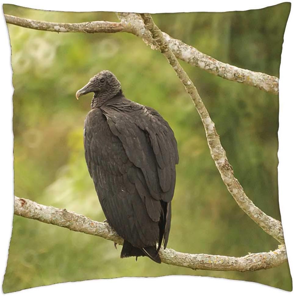 LESGAULEST Throw Pillow Cover (16×16 inch) – Ave Bird Gallinazo Vulture Quindio