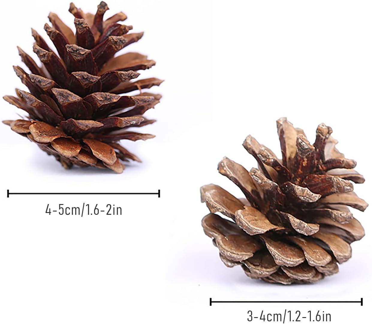 OSTTRPO Conos grandes de pino natural, piñas rústicas de Navidad a granel para manualidades y Navidad, Acción de Gracias, decoración de manualidades
