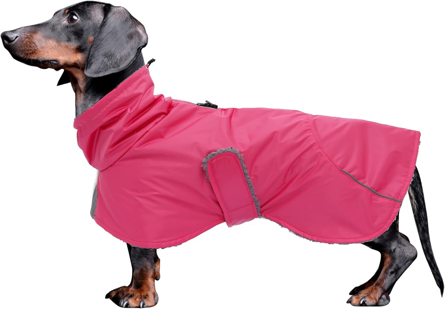 Abrigos de perro salchicha impermeables, perfectos para perros salchichas, salchichas, abrigo de invierno para perro Weiner con forro polar
