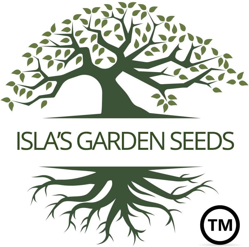 Semillas de frijol de jade para plantar, más de 50 semillas de reliquia por paquete, semillas de jardín de Isla (semillas de jardín de Isla),