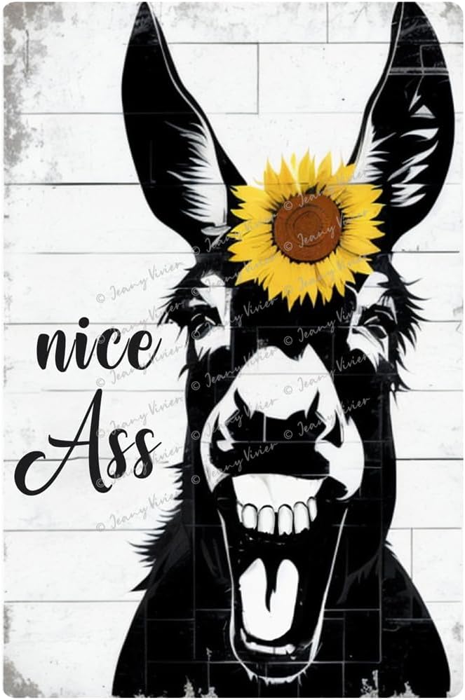 Cartel retro de metal con texto en inglés “Nice A-S-S”, divertido arte de pared de burro, divertido letrero de metal para baño, baño, inodoro,