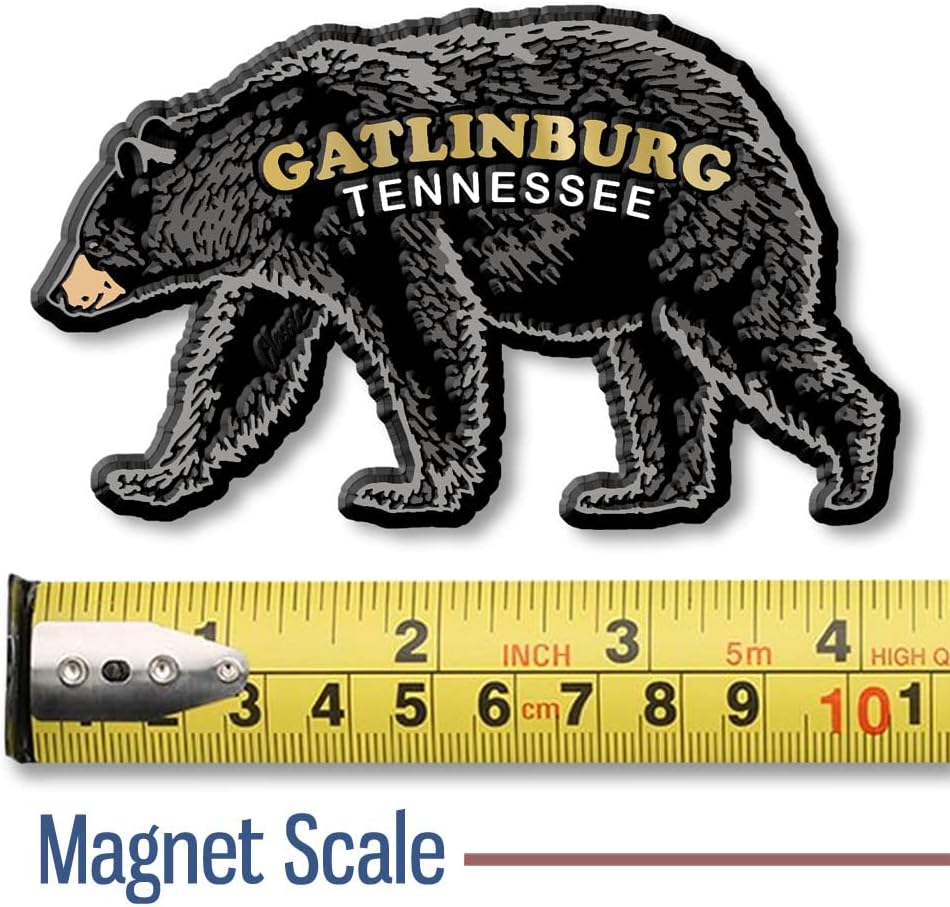 Imán de oso negro Gatlinburg de Classic Magnets, 4.1 x 2.5 pulgadas, recuerdos coleccionables fabricados en los Estados Unidos