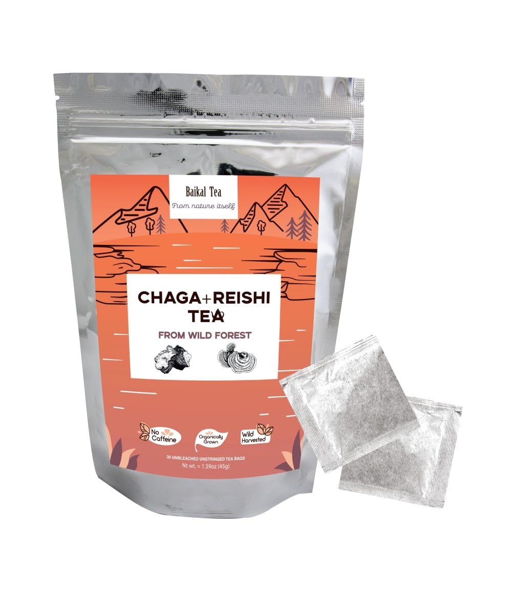 Baikal Tea Chaga Reishi Tea Wild Chaga Tea con Reishi – 30 bolsas de té sin blanquear – Suplemento de hongos Ganoderma Lingzhi con Chaga salvaje