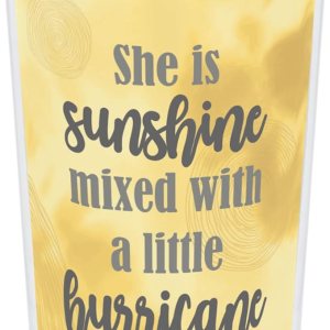 Elanze Designs Sunshine Mixed with Hurricane – Vaso de viaje de acero inoxidable amarillo de 16 onzas Elanze Designs Sunshine Mixed with Hurricane – Vaso de viaje de acero inoxidable amarillo de 16 onzas