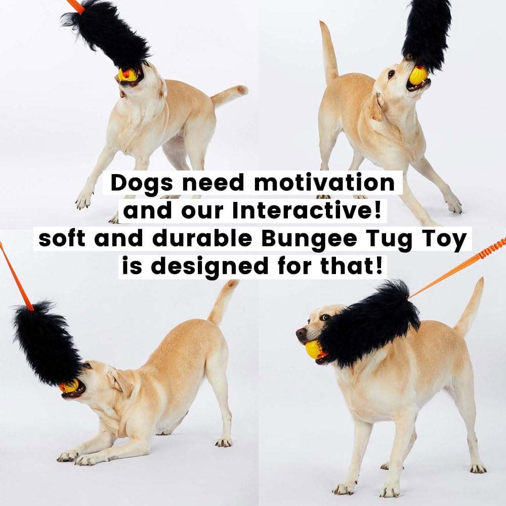 HOWGO Juguete de cuerda para perro, juguete Bungee Chaser 100% piel de oveja, juguete de remolcador con olor de oveja para todas las razas (morado,