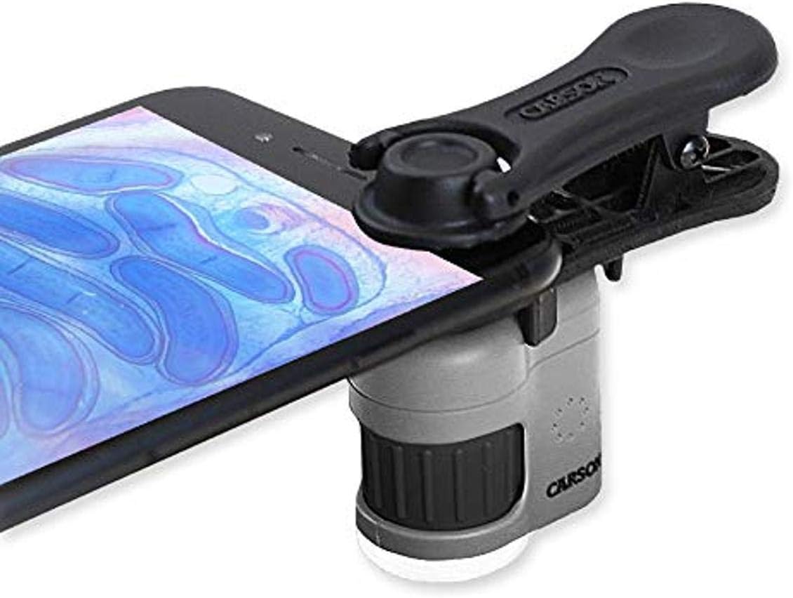 Carson MicroMini – Microscopio de bolsillo con iluminación LED y linterna UV integrada y clip adaptador universal para digiscopio para teléfono