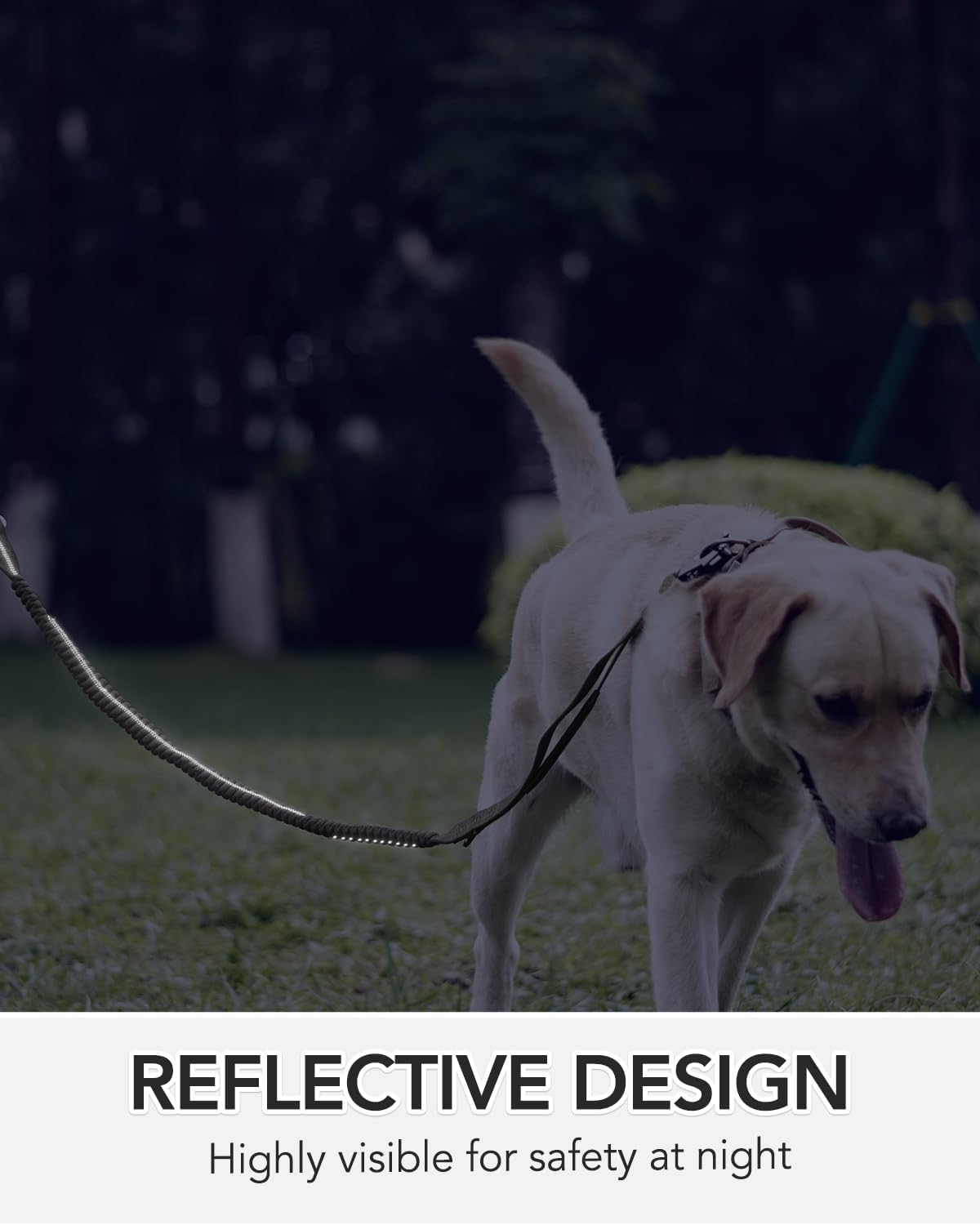 Joytale Correa táctica resistente para perro, 4-6 pies, con absorción de golpes, con 2 asas acolchadas, correa para perro sin tirones con clip de