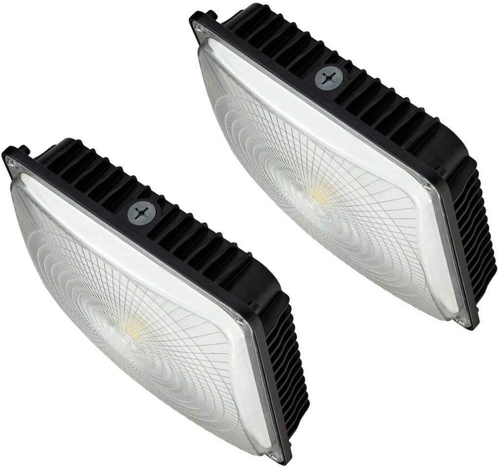 CYLED Luz LED de 65 W, industrial, impermeable, a prueba de explosiones, para exteriores, balcón, estacionamiento, carril, gasolinera, luz de techo