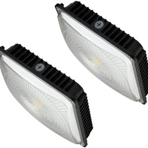 CYLED Luz LED de 65 W, industrial, impermeable, a prueba de explosiones, para exteriores, balcón, estacionamiento, carril, gasolinera, luz de techo CYLED Luz LED de 65 W, industrial, impermeable, a prueba de explosiones, para exteriores, balcón, estacionamiento, carril, gasolinera, luz de techo