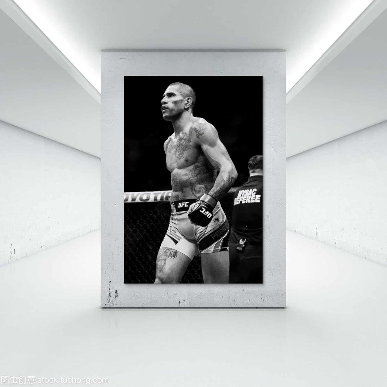 EsEntL Alex Pereira – Póster en blanco y negro para pared, lienzo con pergaminos, pintura, imagen, sala de estar, decoración del hogar, 20 x 30