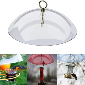 Baffle para comedero de pájaros, comederos para pájaros a prueba de ardillas para exteriores, cubierta de lluvia para comederos de pájaros para Baffle para comedero de pájaros, comederos para pájaros a prueba de ardillas para exteriores, cubierta de lluvia para comederos de pájaros para