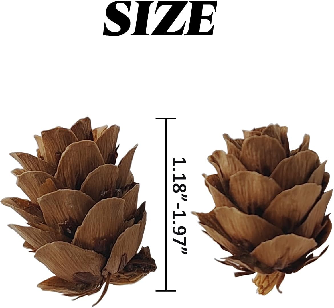 TIHOOD 320 minipiñas naturales de Navidad de 1.18 a 1.97 pulgadas a granel, adornos de piñas naturales de Navidad para manualidades, decoración del