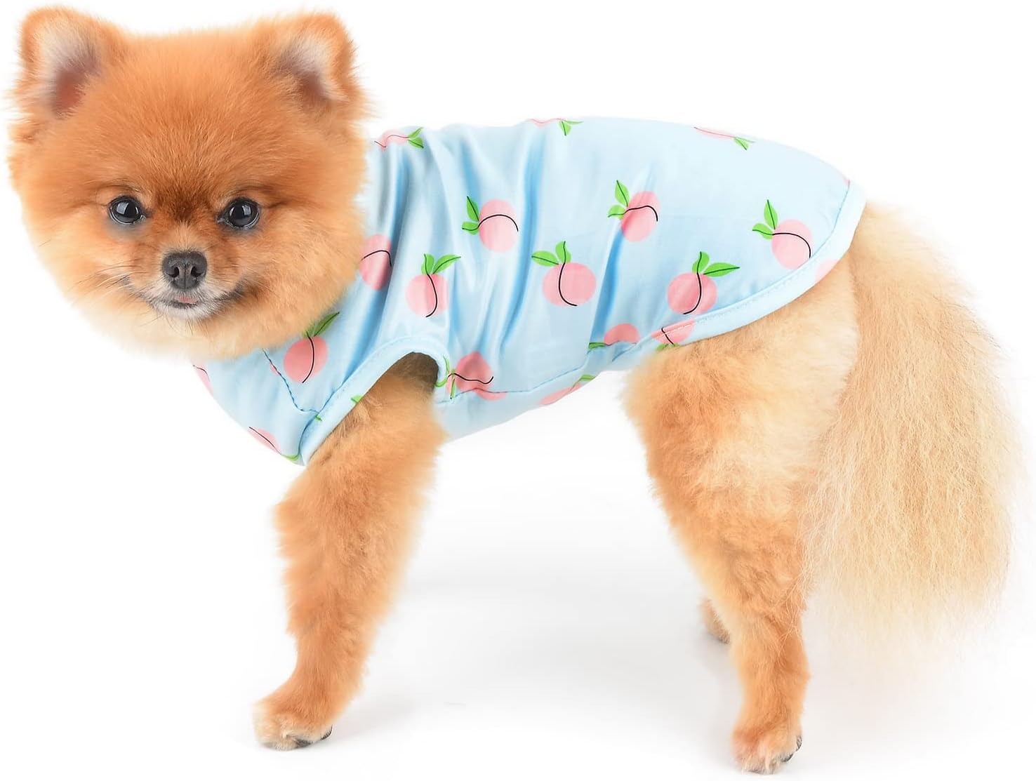 SMALLLEE_LUCKY_STORE Camiseta con estampado de durazno para mascotas, camiseta para cachorros con anillo en D para perros pequeños y medianos,