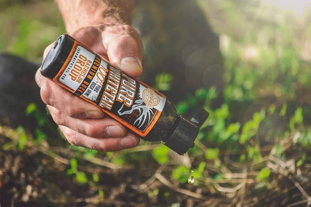 Pure Whitetail  Grupo de licenciatura  Orina de Buck de cola blanca  Orina fresca 100% pura de raspado  Aroma de cobertura de varios dólares  Pis de
