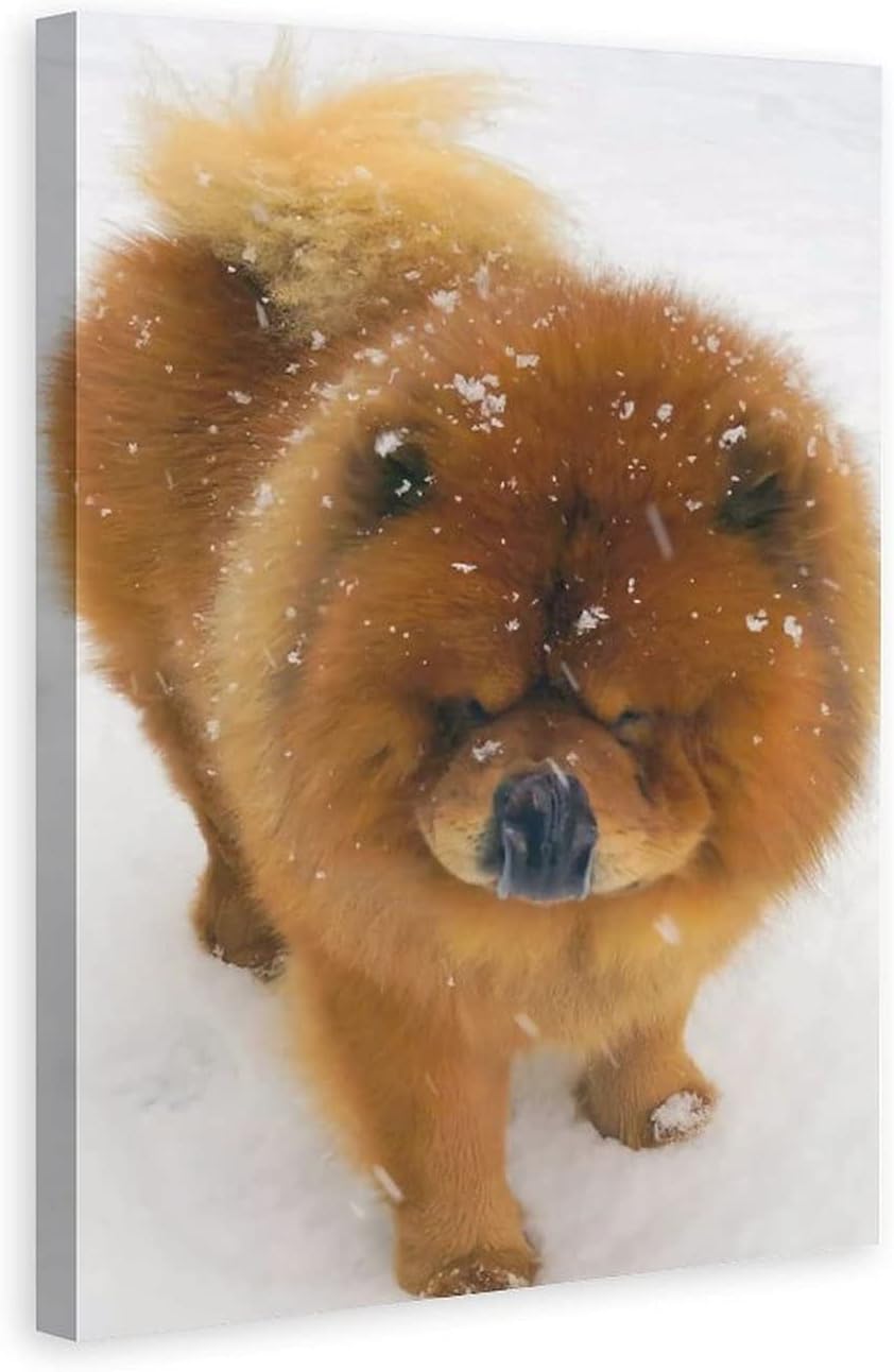 Póster de animales Snow Chow Chow Dog lienzo póster para decoración de dormitorio, paisaje deportivo, oficina, habitación, regalo, póster de lienzo