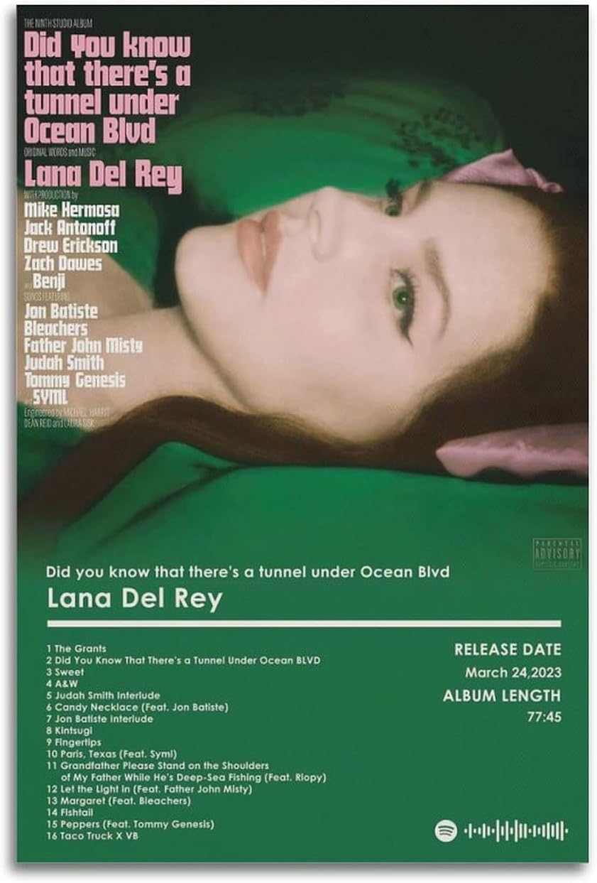 Póster de Lana Del Rey The Album Cover Poster Album Art Decor Painting Estético Arte de Pared Lienzo para Decoración de Dormitorio 20 x 30 pulgadas