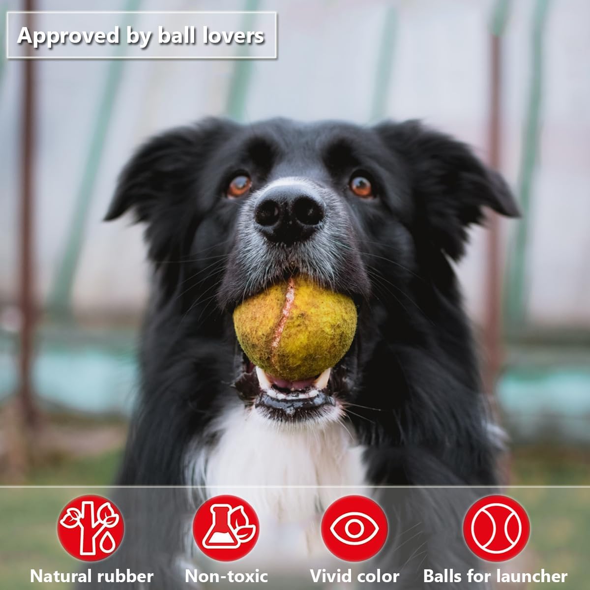 Weierfu Paquete de 12 pelotas de tenis para perros, pelotas de tenis para perros medianos y pequeños, bolas de entrenamiento de 2.5 pulgadas de