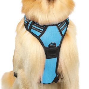 Rabbitgoo – Pechera para perro , pechera sin jalones para mascotas con 2 ganchos de correa, chaleco Oxford ajustable, acolchado, suave y reflectante Rabbitgoo – Pechera para perro , pechera sin jalones para mascotas con 2 ganchos de correa, chaleco Oxford ajustable, acolchado, suave y reflectante