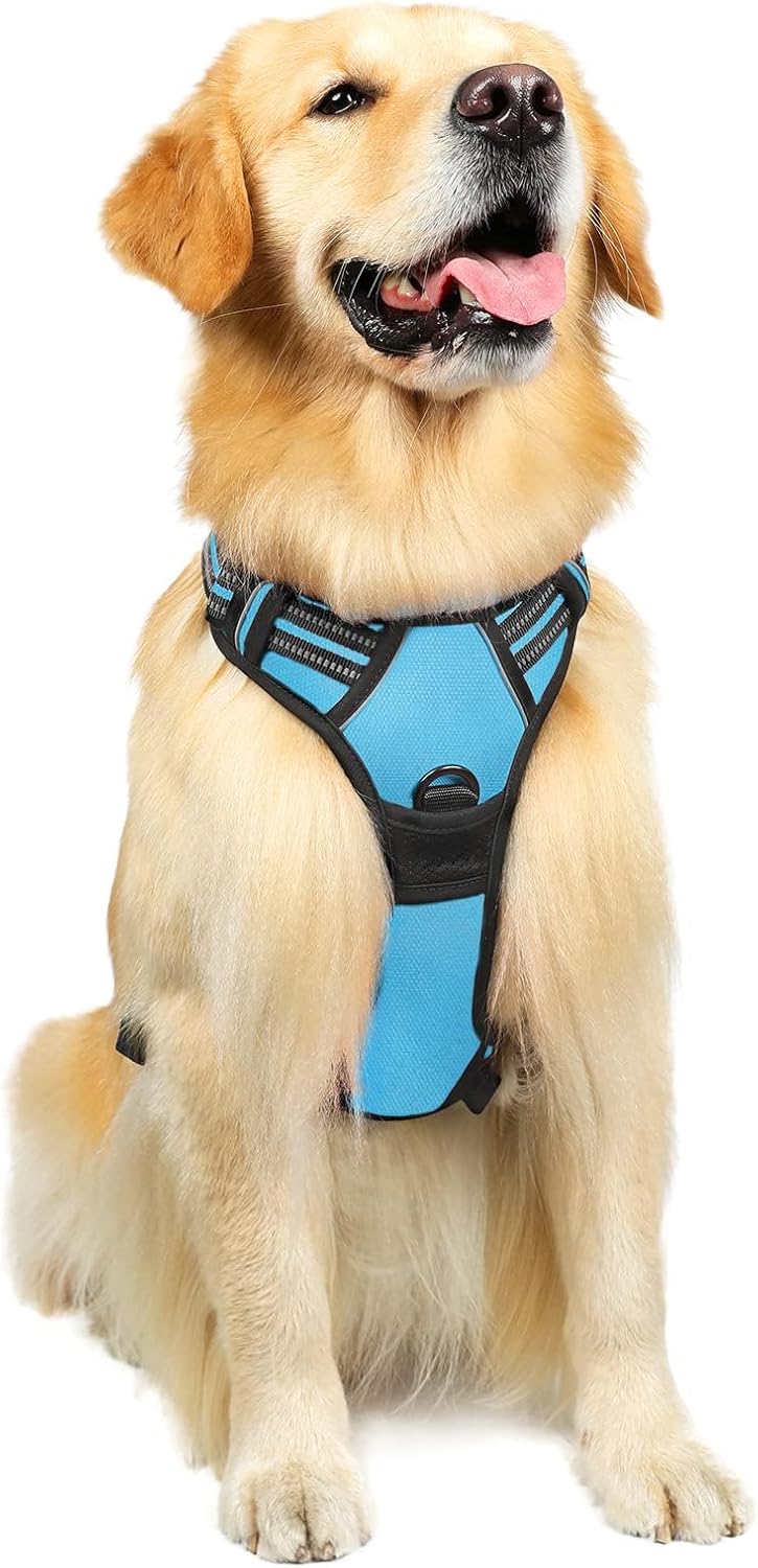 Rabbitgoo – Pechera para perro , pechera sin jalones para mascotas con 2 ganchos de correa, chaleco Oxford ajustable, acolchado, suave y reflectante