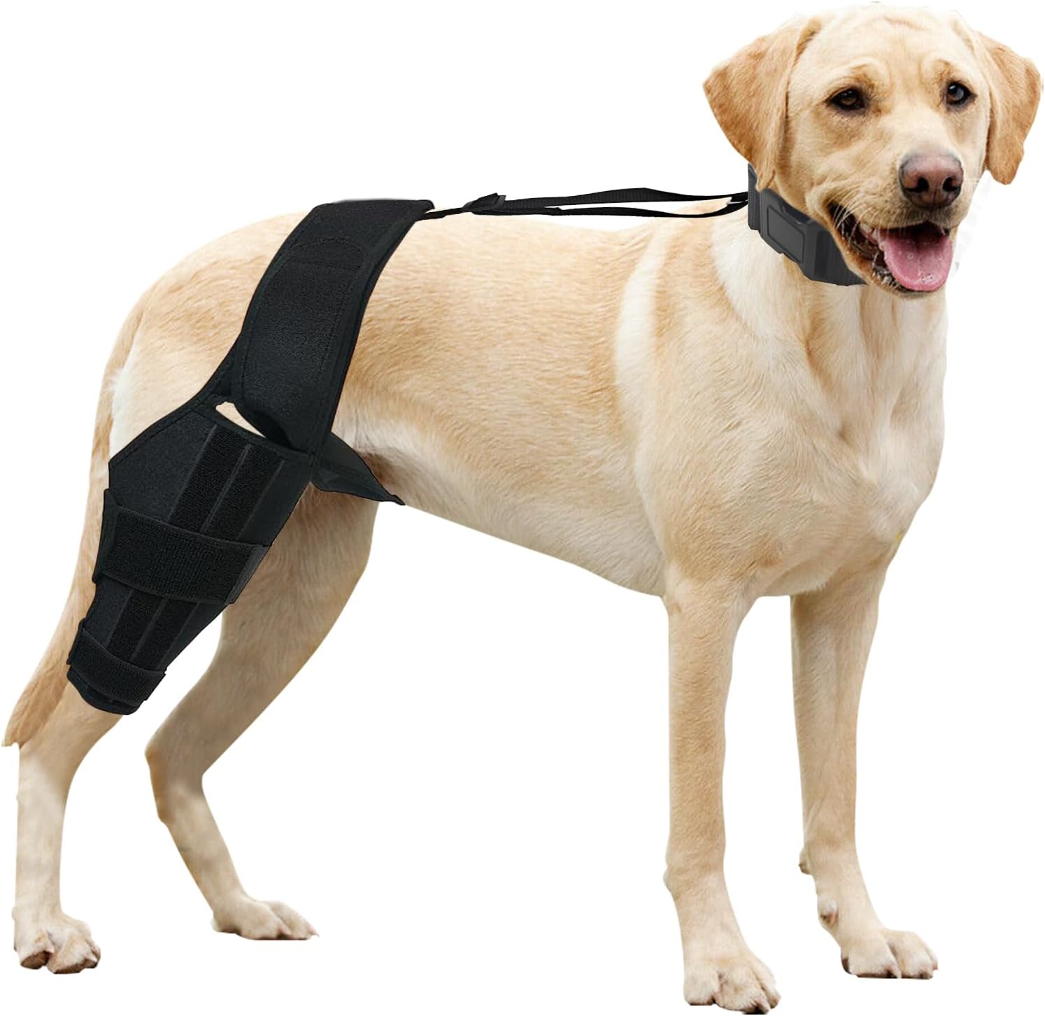 PLKO Rodillera para perro con estabilizadores laterales, soporte para ACL, luxación de la rodillera, artritis, calidez, estabilidad y alivio del