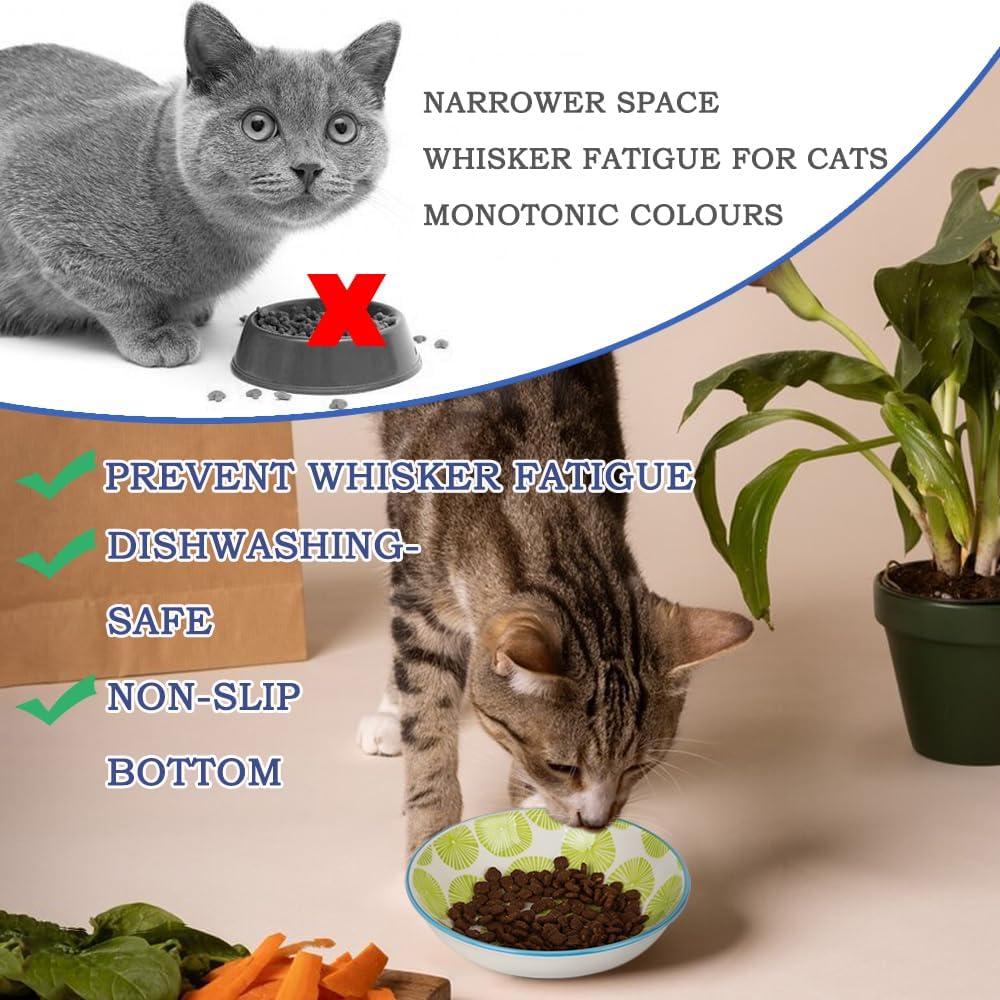 Cuencos para gatos de interior, parte inferior de silicona antideslizante de 5.5 pulgadas, tazón de comida para gatos inclinado, apto para bigotes,