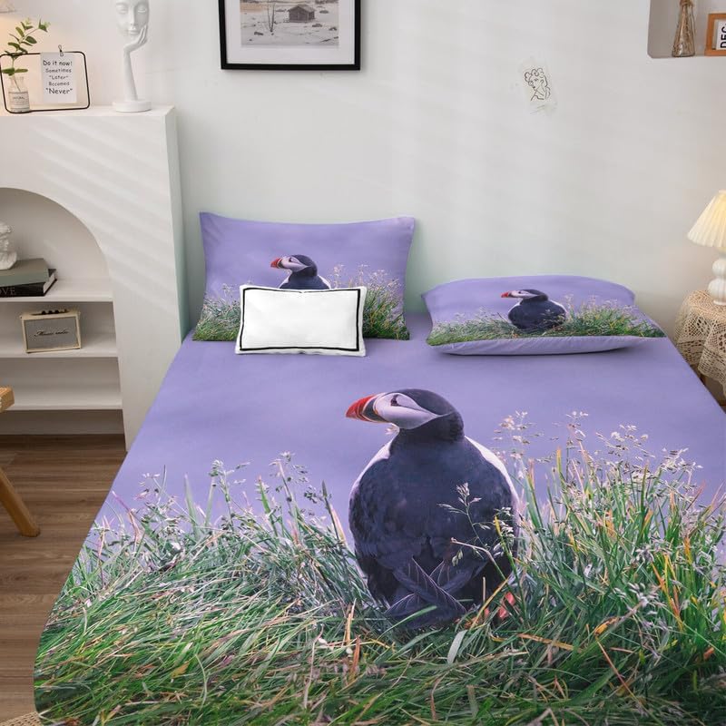 Arctic Seagull – Juego de sábanas tamaño King  Sábanas y fundas de almohada de frailecillo  Lujoso 100% microfibra, estampado de alta cantidad de